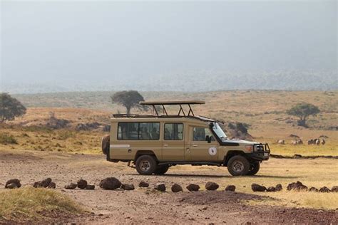 Great experience! - Reviews, Photos - safari soles tours - Tripadvisor