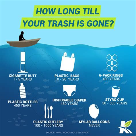 How long till your trash is gone? Mylar Balloons and 1000 Years in ...