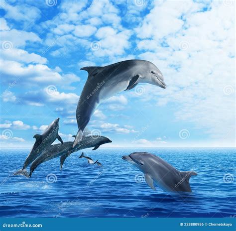 Dolphin 的图像结果