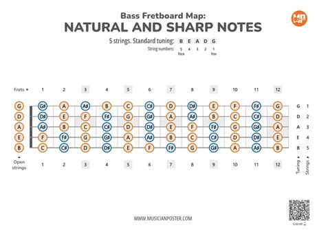 5-String Bass Guitar Printable Fretboard Map With All Notes
