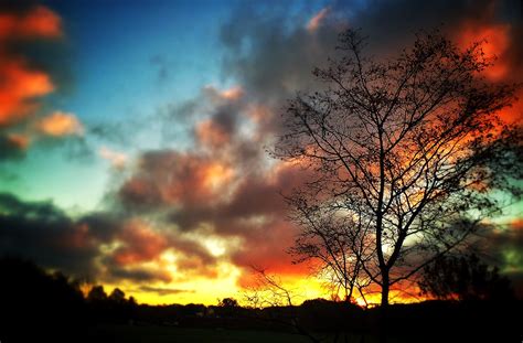 Image result for Abstract Impressionism Examples