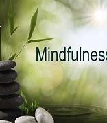 Image result for Mindfulness 静观