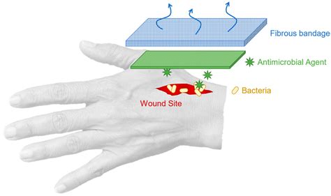 Antimicrobial Fibrous Bandage-like Scaffolds Using Clove Bud Oil