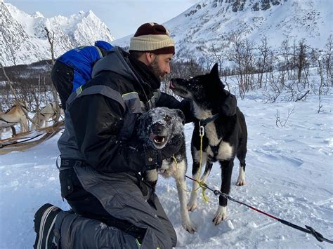 DOG SLEDDING LYNGEN ALPS DAY TOUR - All You Need to Know BEFORE You Go ...