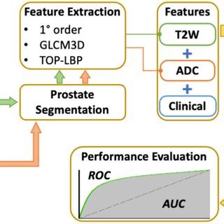 Algorithm Learning Process 的图像结果