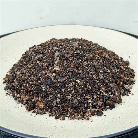 Cactus & Succulents Potting Mix – Taruvar Plants and Garden Store