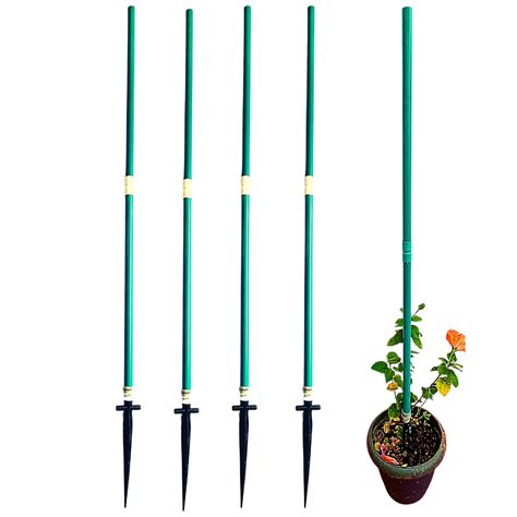 Invelligen Plant Stem Support Stick & Straightener for Creepers ...