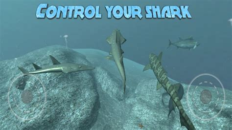Image result for Shark Simulation