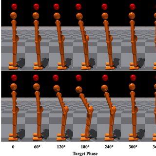 Image result for Point Tracking