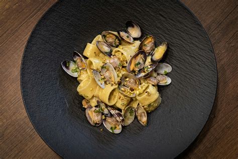 Image result for Seashell for Cooking