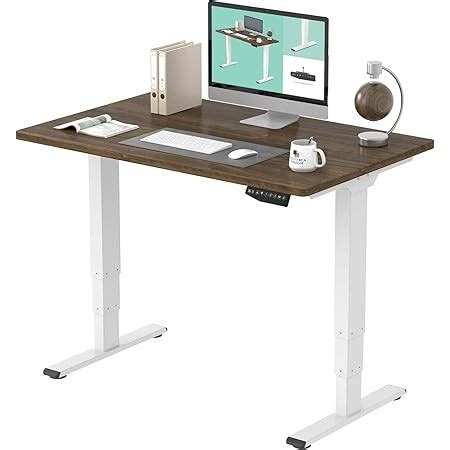 Buy FLEXISPOT Stand Up Desk 3 Stages Dual Motor Electric Standing Desk ...