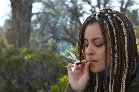 What Is a Spliff? | Spliff Definition | Weedmaps