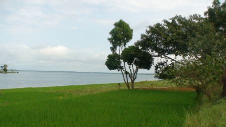 Places near to Emerald Enclave