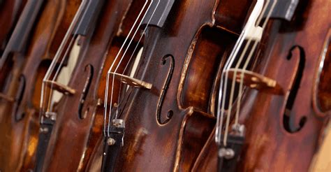 Image result for String Music Instruments