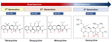 A Review of Systemic Minocycline Side Effects and Topical Minocycline as a Safer Alternative for ...