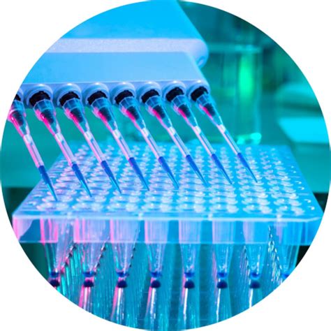 Bio Channel 的图像结果