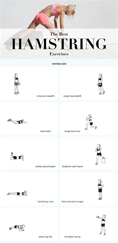 Beginner Hamstring Exercises 的图像结果