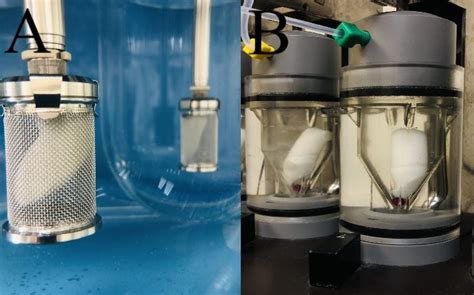 Fig. 2: Image of the dissolution of the reference formulation after 60 ...