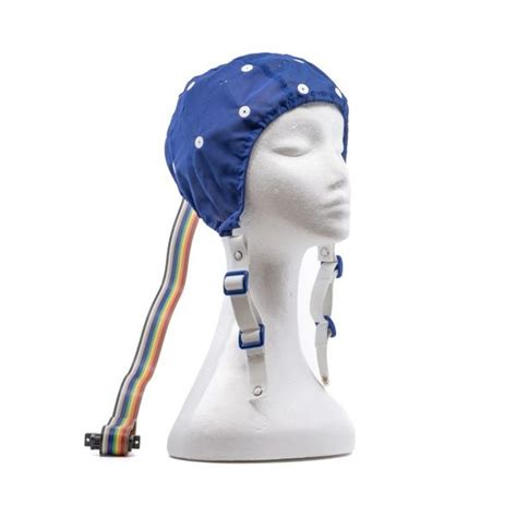 Image result for MATLAB Qeeg Brain Map