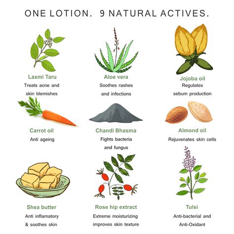 Laxmi Taru Lotion – The Paradise Tree