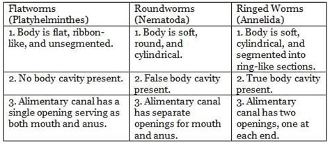 Five Kingdom Classification Chapter Notes - Biology Class 9 ICSE PDF ...