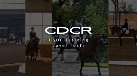 Image result for USDF 1st Level Test 3
