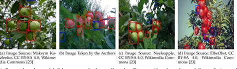Image result for Tracking Algorithm Images Based On Fruits