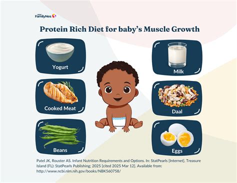 The Role Of Nutrition In Children’s Muscle Development | FamilyNes