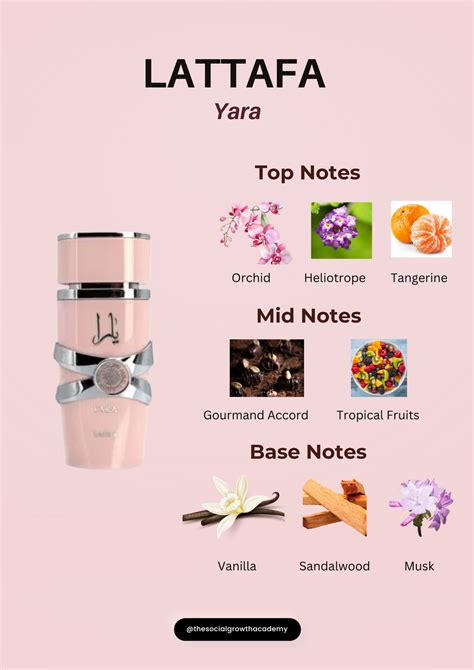 Lattafa Yara Notes breakdown | Perfume scents, Perfume genius, Perfume ...