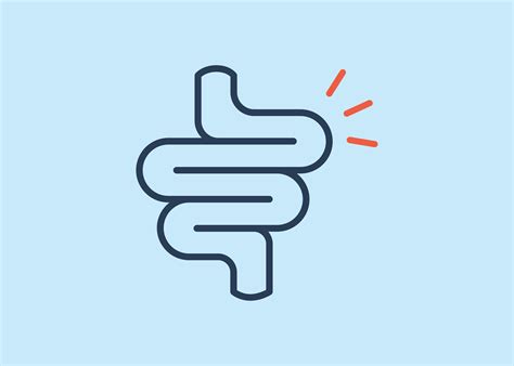 Can Constipation Cause UTIs? What You Need to Know | Uqora