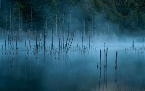 Download wallpaper 3840x2400 lake, trees, fog, water 4k ultra hd 16:10 ...
