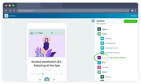 Image result for Advanced Custom Sound