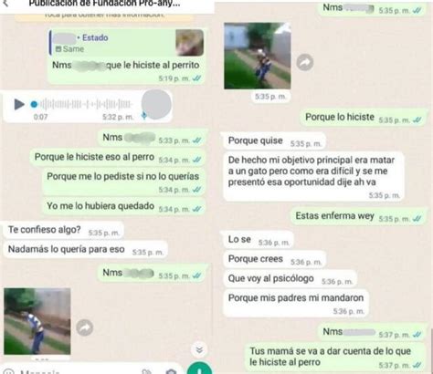 En México, cientos de personas han salido a las calles a marchar en ...