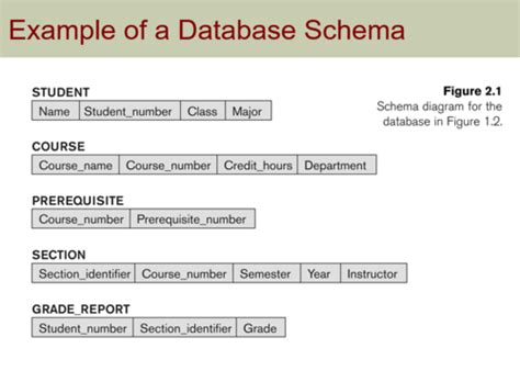 Image result for Database Chapter Two