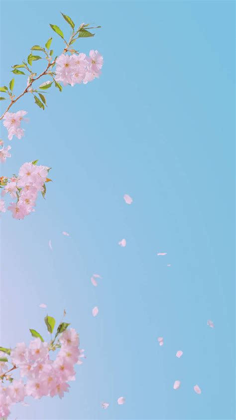 夏天小清新手机壁纸 小清新手机桌面壁纸_扣扣皮肤-me个性网
