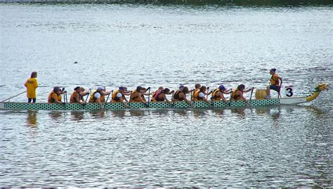 Free Images : paddle, vehicle, rowing boat, competition, team, sports ...