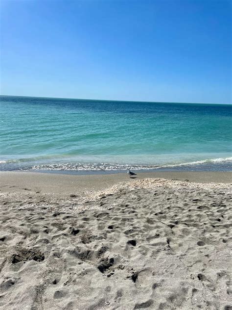 Best Beaches in Siesta Key Florida - Food Fun & Faraway Places