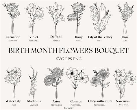 Birth Month Flowers Drawings at Anthony Brunet blog