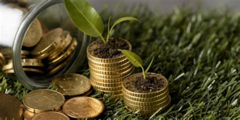 Image result for Best CSS Developer