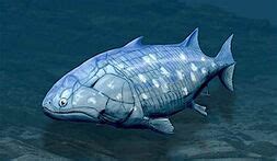 Sarcopterygii | Encyclopedia MDPI