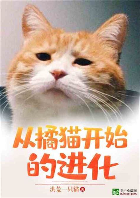 橘猫cat全部小说
