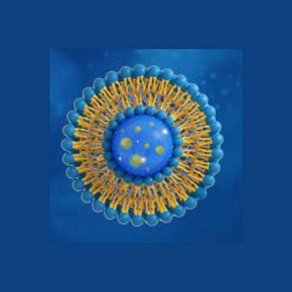 About us – Avenzes