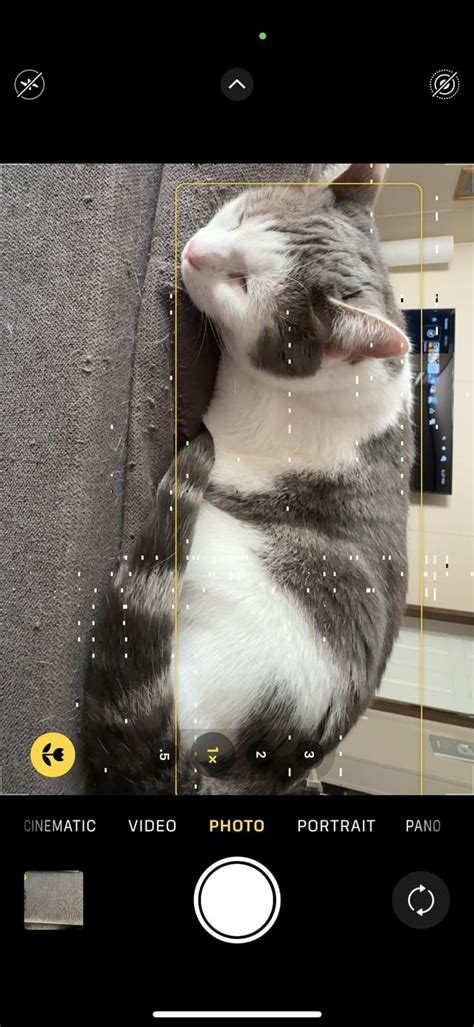 iPhone 15 Pro & PM camera issues : r/iphone