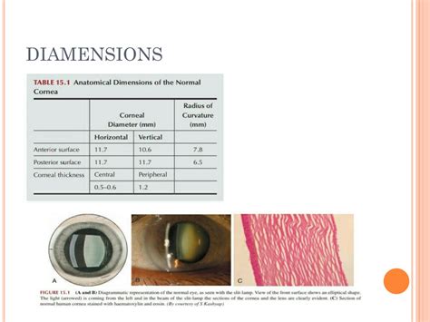 SOLUTION: Anatomy of cornea and corneal opacity - Studypool