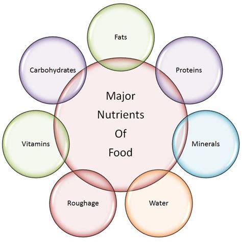 Science Components of Food 的图像结果