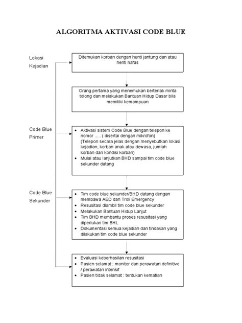 Code Blue Data Algorithm 的图像结果