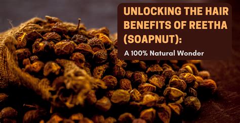 Unlocking the Hair Benefits of Reetha (Soapnut) | Clinikally