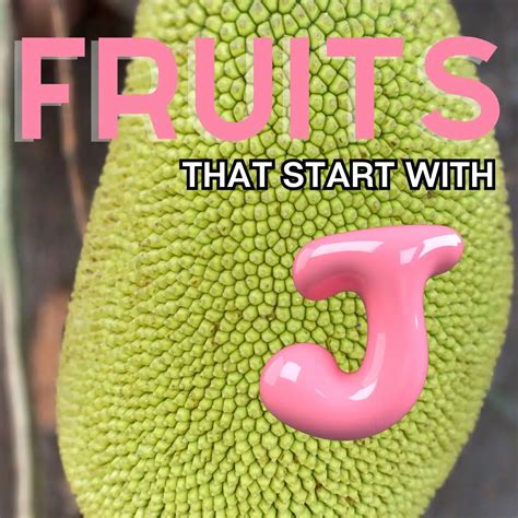 Fruits That Start With J: 21+ Fruits Beginning With The Letter J | Bake ...