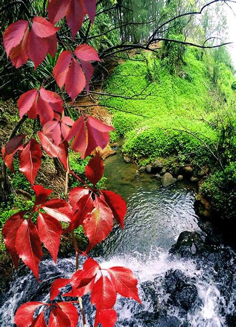 Belle Nature 的图像结果