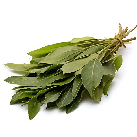 Yerba Mate Leaves